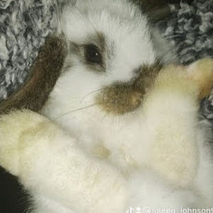 Meet your Posher, Joleen